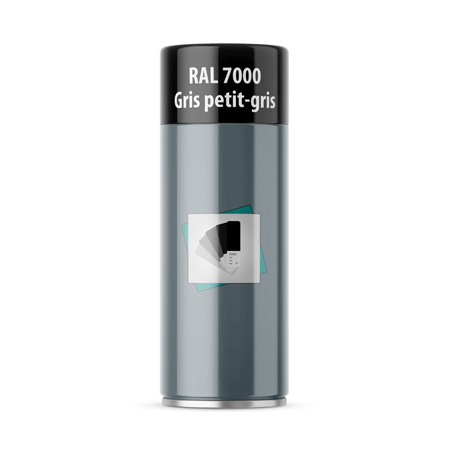 bombe de peinture ral 7000 gris petit-gris