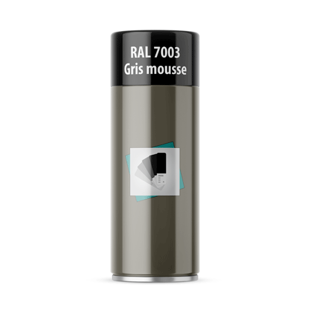 bombe de peinture ral 7003 gris mousse