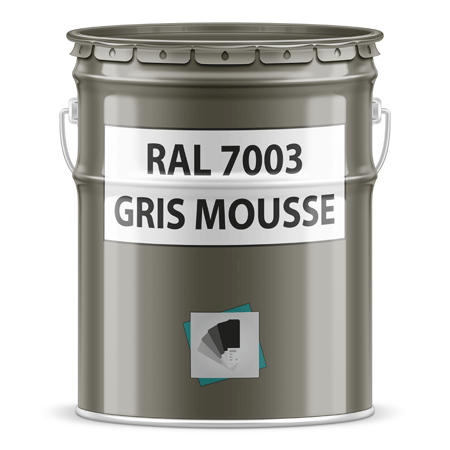 pot de peinture ral 7003 gris mousse