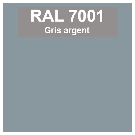 Teinte RAL 7001 Gris argent