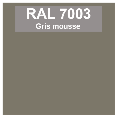 couleur ral 7003 gris mousse