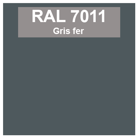 Code teinte RAl 7011 Gris fer