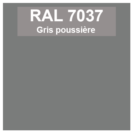 Code teinte RAl 7037 Gris poussière