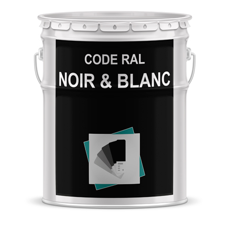 Code teinte RAl dominante noir-blanc