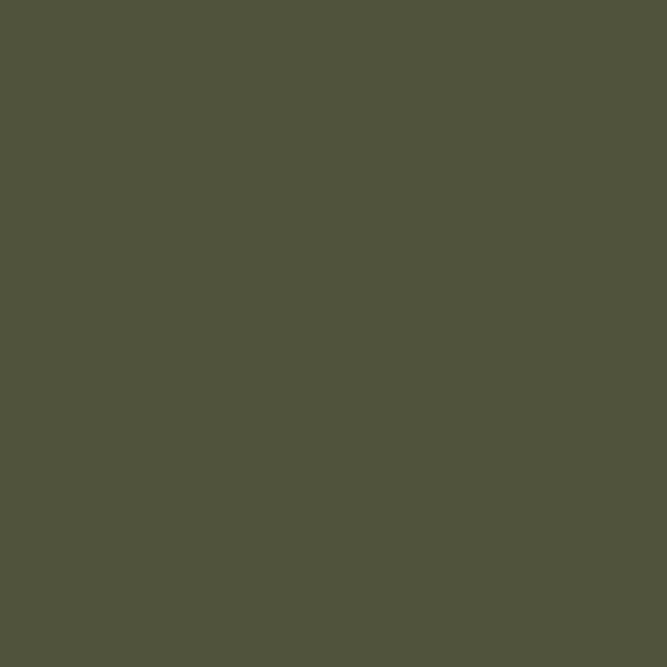 RAL 6003 Vert olive