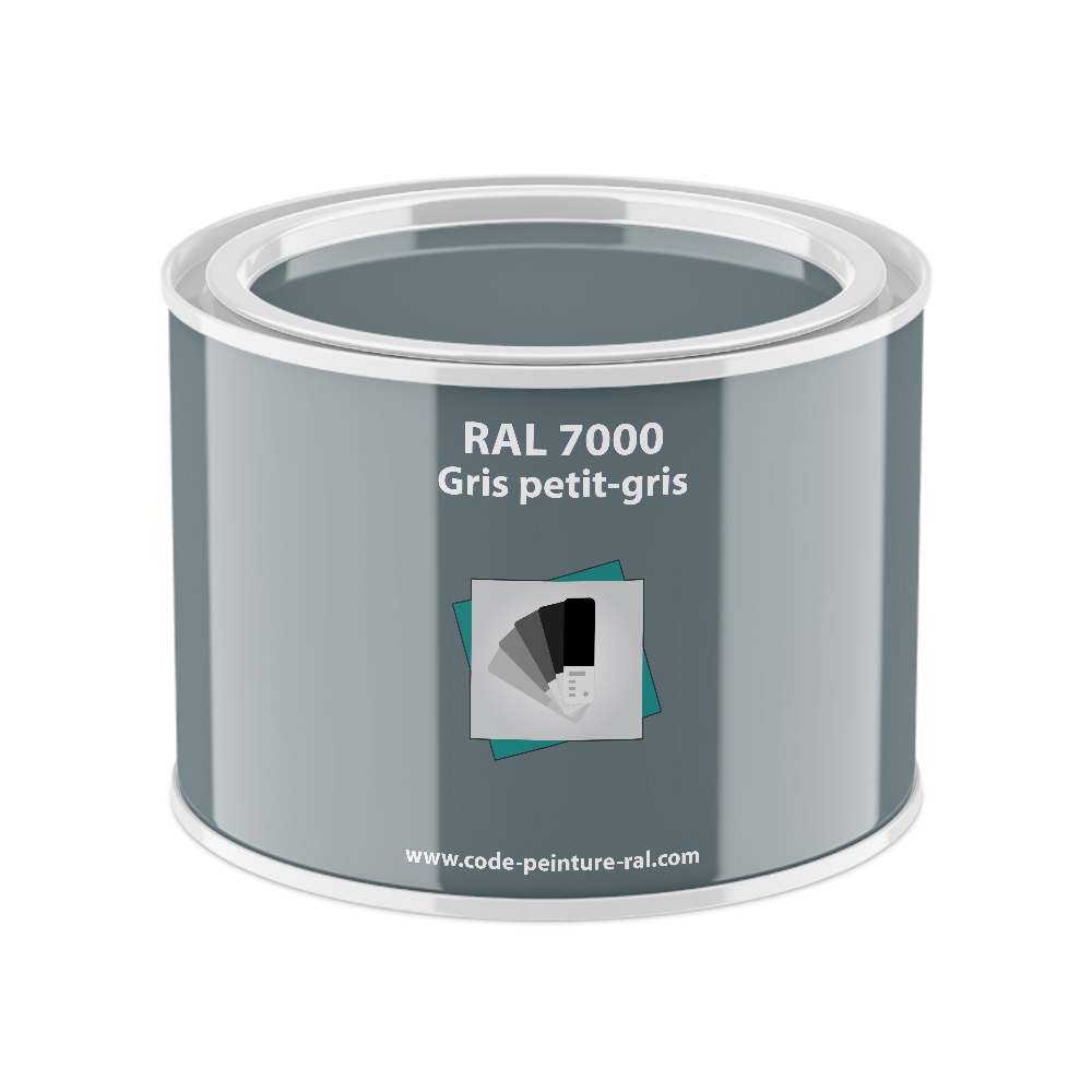 Pot RAL 7000 Gris petit-gris