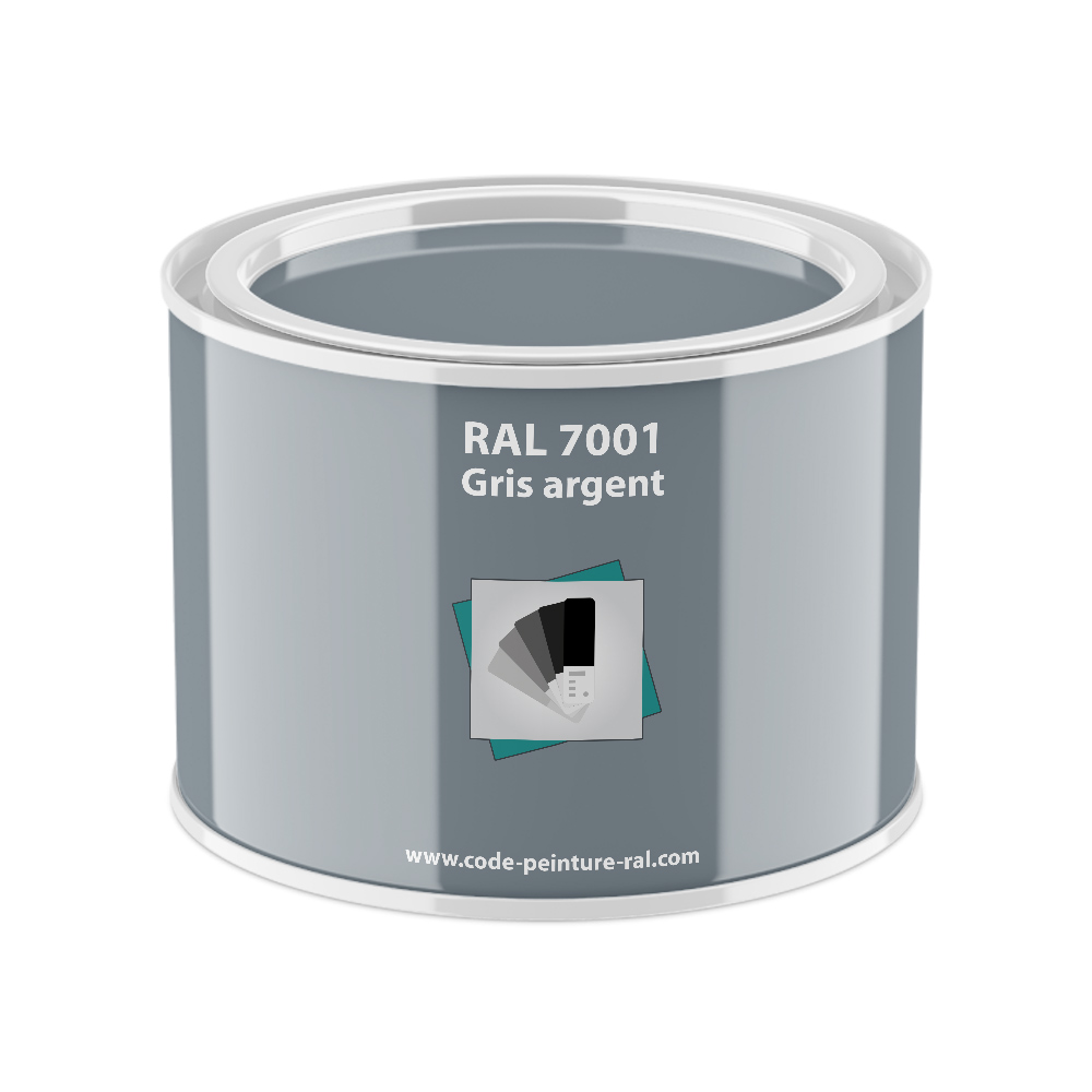 Pot RAL 7001 Gris argent