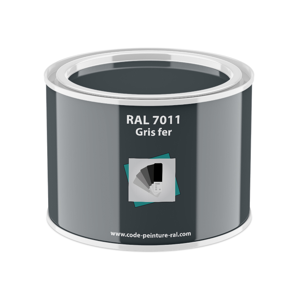 Pot RAL 7011 Gris fer